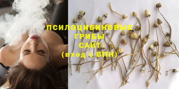 МДПВ Богородск