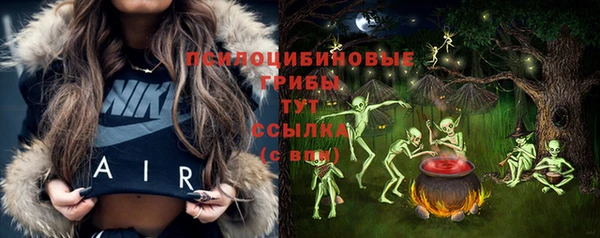 герыч Арсеньев