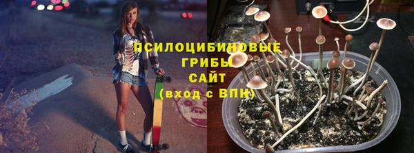 гидра Богородицк