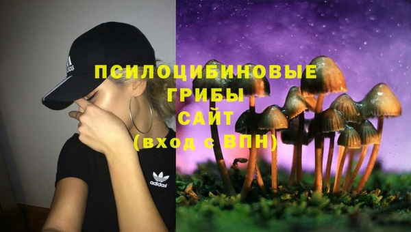 герыч Арсеньев