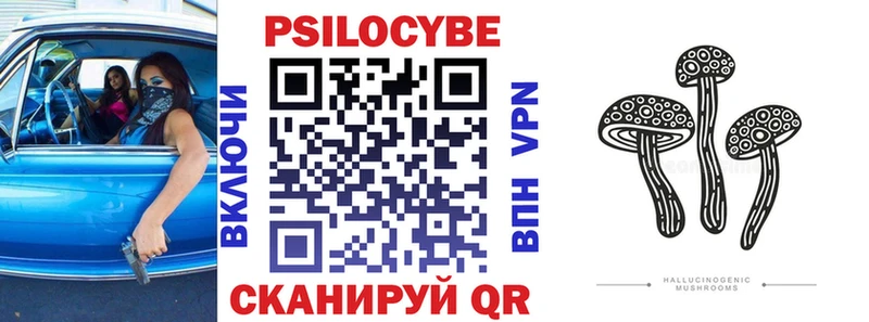 omg tor Отрадная Псилоцибиновые грибы Magic Shrooms